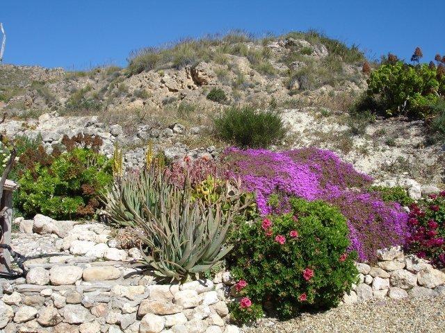 Almond Reef Casa Rural Los Alias Quarto foto